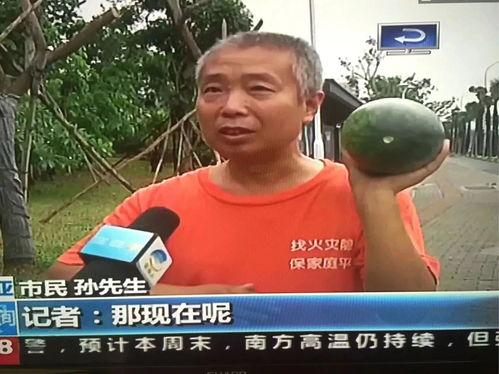 网红吃瓜热点事件视频,揭秘幕后真相，带你领略网络热点的魅力  第1张